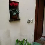 Saragone *