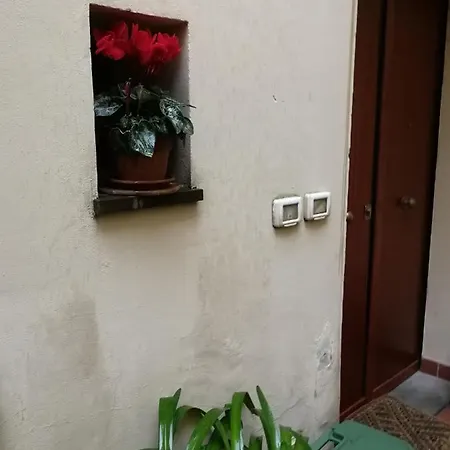 Saragone *